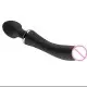 Double Head Vibrator Double Head Vibrator